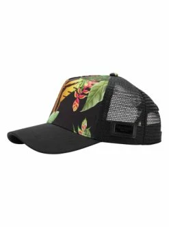 Outdoor & Sport Carlo Colucci Cap Curtin In Schwarz / Grün Günstig Kaufen