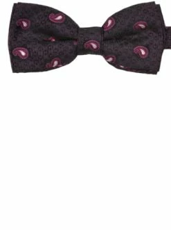 Accessoires Carlo Colucci Fliege Caladrin In Pink Günstig Kaufen