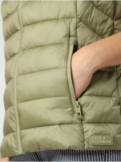 Jacken & Mäntel Cecil Steppweste In Lind Günstig Kaufen -Carlo Colucci Shop cecil steppweste in lind 2
